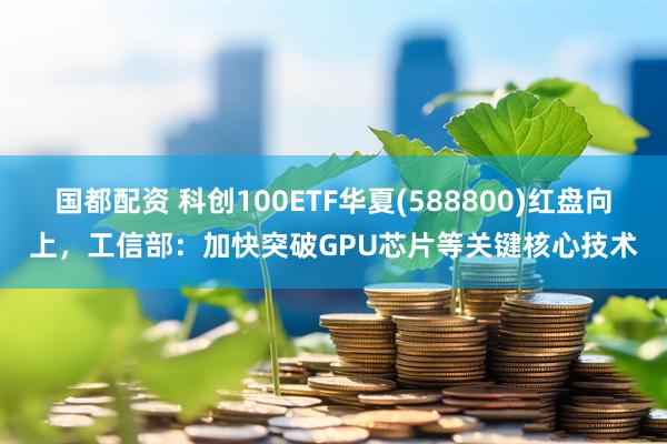 国都配资 科创100ETF华夏(588800)红盘向上，工信部：加快突破GPU芯片等关键核心技术