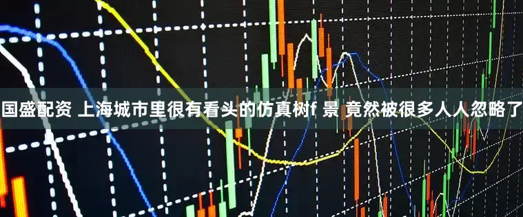 国盛配资 上海城市里很有看头的仿真树f 景 竟然被很多人人忽略了