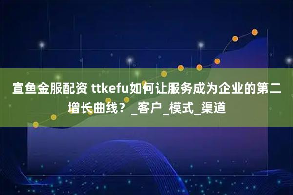 宣鱼金服配资 ttkefu如何让服务成为企业的第二增长曲线？_客户_模式_渠道