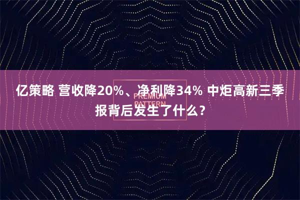 亿策略 营收降20%、净利降34% 中炬高新三季报背后发生了什么？